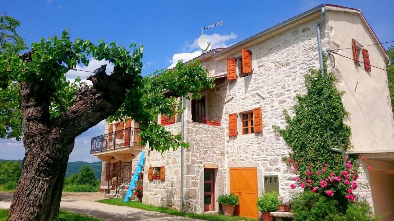 Villa Angela E Giovanni Vizinada Exterior photo